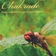 Chakrade40px