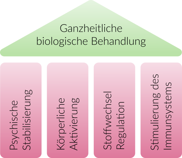 Säulenkonzept der ganzheitlichen biologischen Behandlung